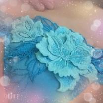 �u���O�摜