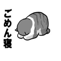 ݂܂m(__)m