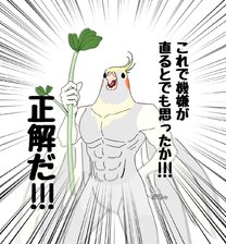 �u���O�摜