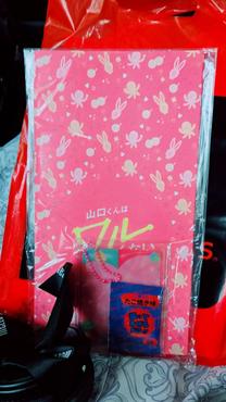 �u���O�摜