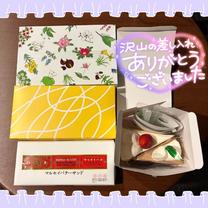 �v���E�XT...