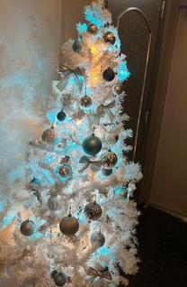 ���������肪�Ƃ�����...