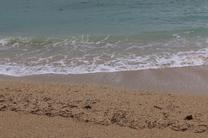 �ŋ߂̃n�}��?