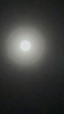 �I�L�j�g�[�N�̕Ԏ�