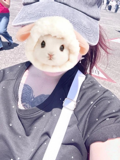 写真