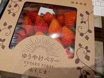 �u���O�摜