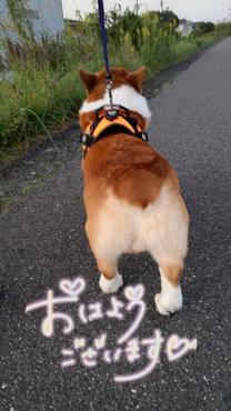͂悤...