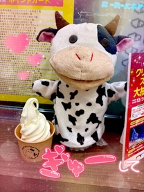 �u���O�摜