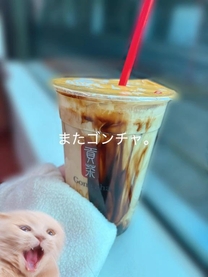 �u���O�摜