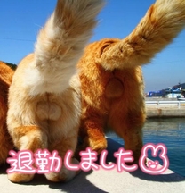 �u���O�摜