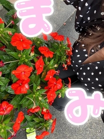 �u���O�摜