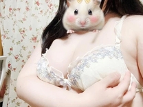 �u���O�摜