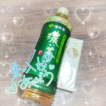 �u���O�摜