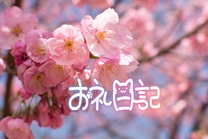 �u���O�摜