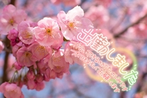 �u���O�摜