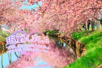 �u���O�摜