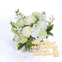 �u���O�摜