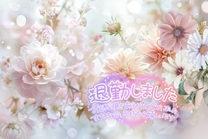 �u���O�摜