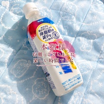 �u���O�摜