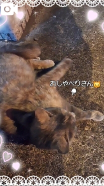 �R���r�j...