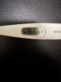 �{���̑̉�