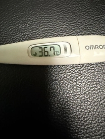 ����16�����{���̑̉�