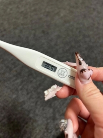 �����V�Ă܂�