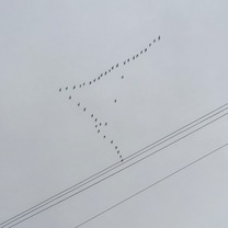 �o�΂���...