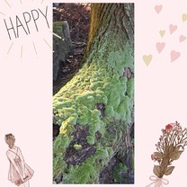 ���ε����β���