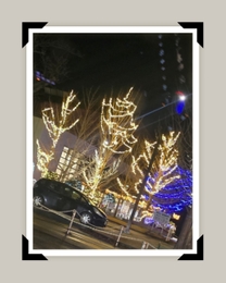 ���ε����β���