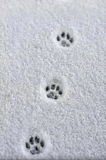 ���Ă������H