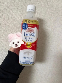 �J�����[�Ȃ��