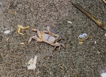 ���̐��́c