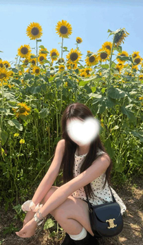 �u���O�摜