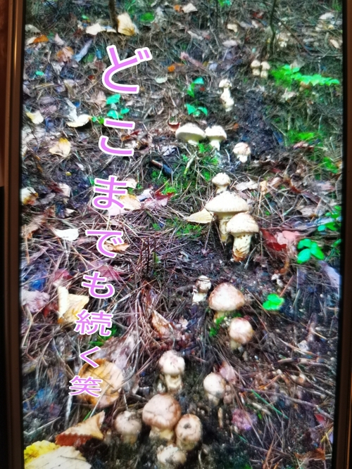 L̉摜1