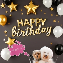 ���ε����β���