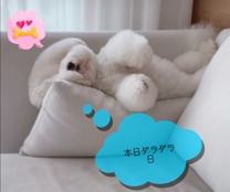 ���ε����β���