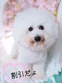 ���ε����β���