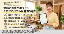�u���O�摜