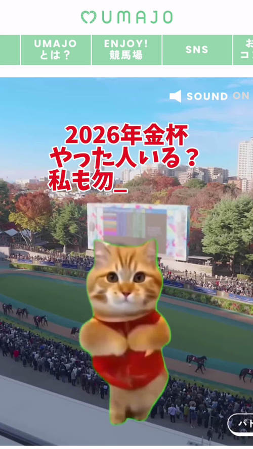 �܂�����[�X]