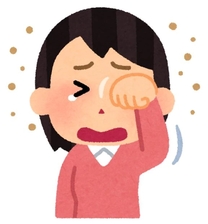 �u���O�摜