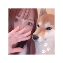 ͂悤