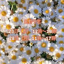 Ɓ[I