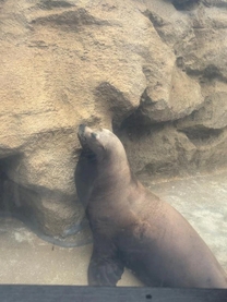 ���v���Ԃ�ł�