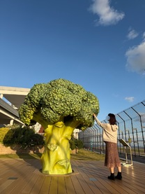 1 �� 14 ���̌�� ...