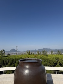 1 �� 29 ���̌�� ...