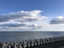 3 �� 1 ���̌�� ...