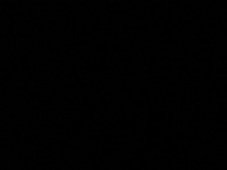 ���肢 �̉摜