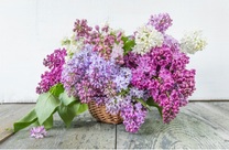 ���ε����β���