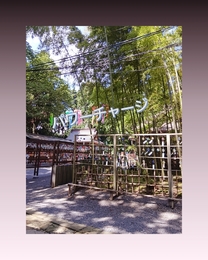 �u���O�摜
